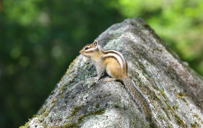 Добро пожаловать в «Россию» - Санаторий «Санаторий «Россия»» | Фото 10