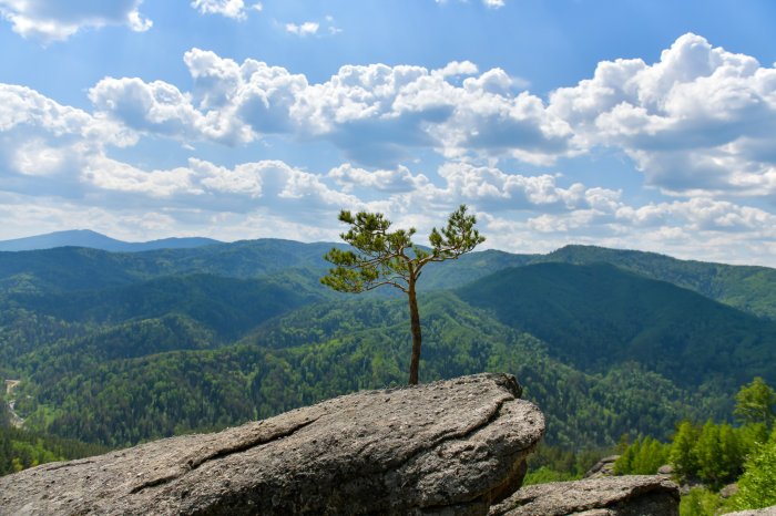 Добро пожаловать в «Россию» - Санаторий «Санаторий «Россия»» | Фото 2