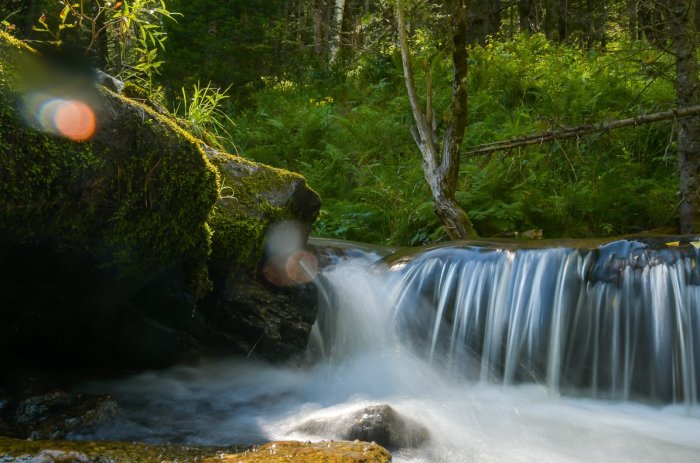 Добро пожаловать в «Россию» - Санаторий «Санаторий «Россия»» | Фото 9