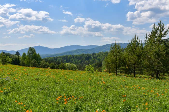 Добро пожаловать в «Россию» - Санаторий «Санаторий «Россия»» | Фото 4